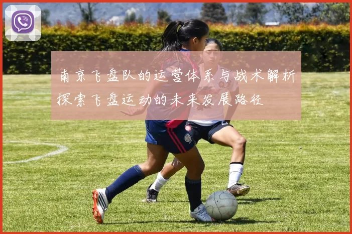 南京飞盘队的运营体系与战术解析探索飞盘运动的未来发展路径
