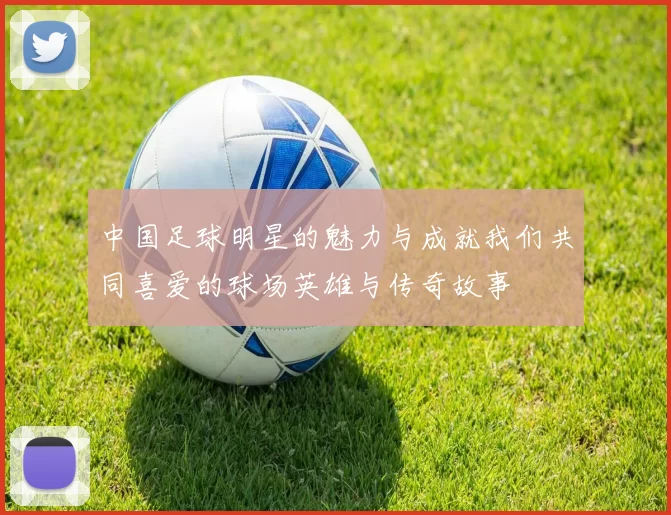 中国足球明星的魅力与成就我们共同喜爱的球场英雄与传奇故事