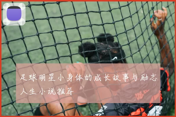 足球明星小身体的成长故事与励志人生小说推荐
