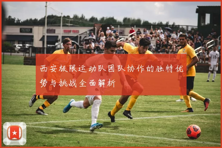 西安极限运动队团队协作的独特优势与挑战全面解析
