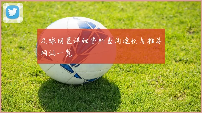 足球明星详细资料查询途径与推荐网站一览