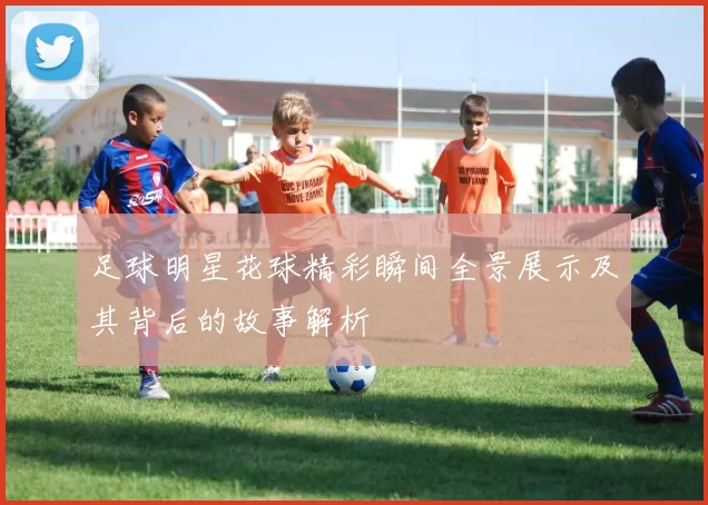 足球明星花球精彩瞬间全景展示及其背后的故事解析