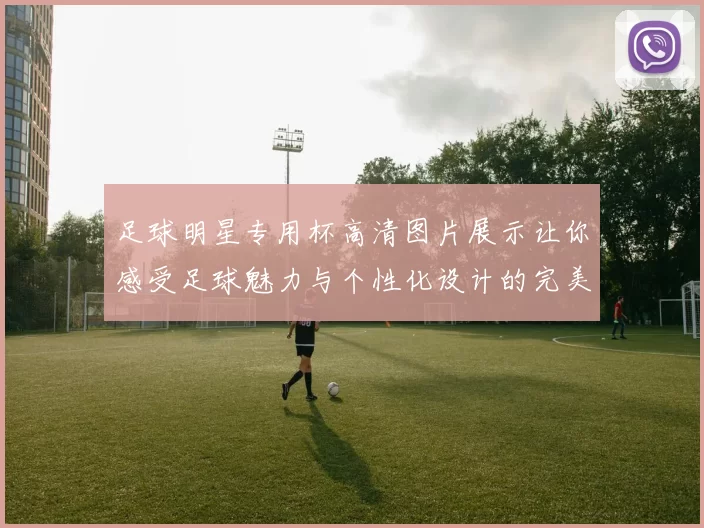 足球明星专用杯高清图片展示让你感受足球魅力与个性化设计的完美结合