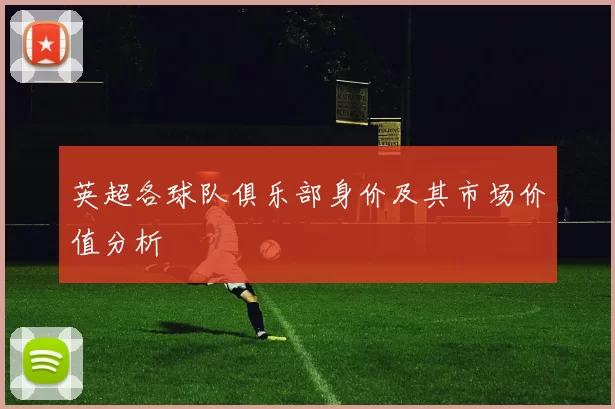 英超各球队俱乐部身价及其市场价值分析
