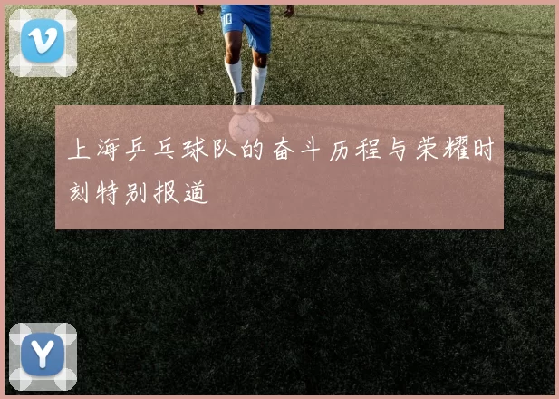 上海乒乓球队的奋斗历程与荣耀时刻特别报道
