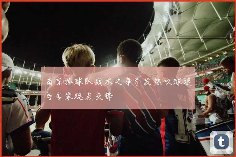 南京排球队战术之争引发热议球迷与专家观点交锋