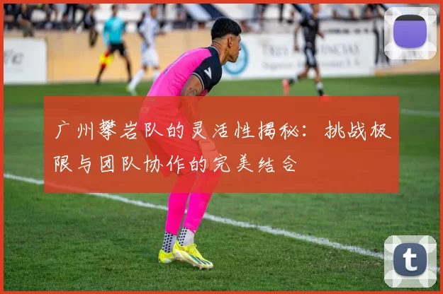 广州攀岩队的灵活性揭秘：挑战极限与团队协作的完美结合