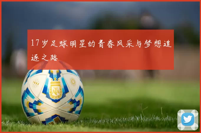 17岁足球明星的青春风采与梦想追逐之路