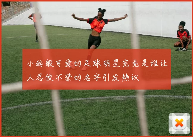小狗般可爱的足球明星究竟是谁让人忍俊不禁的名字引发热议