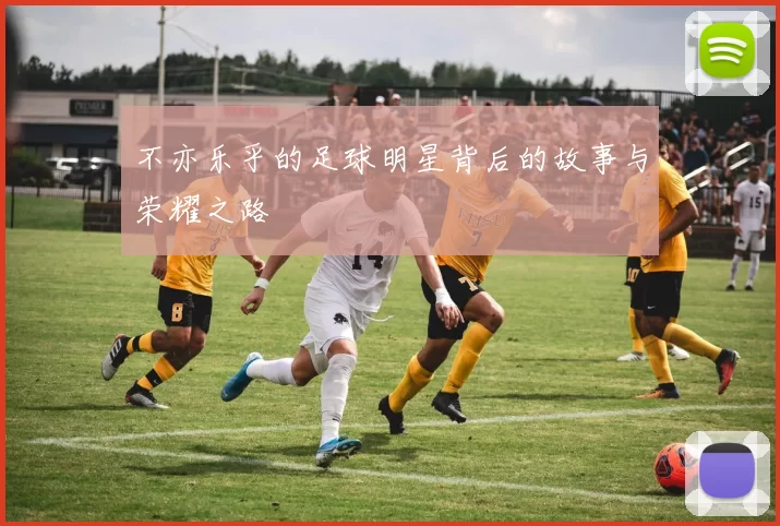 不亦乐乎的足球明星背后的故事与荣耀之路