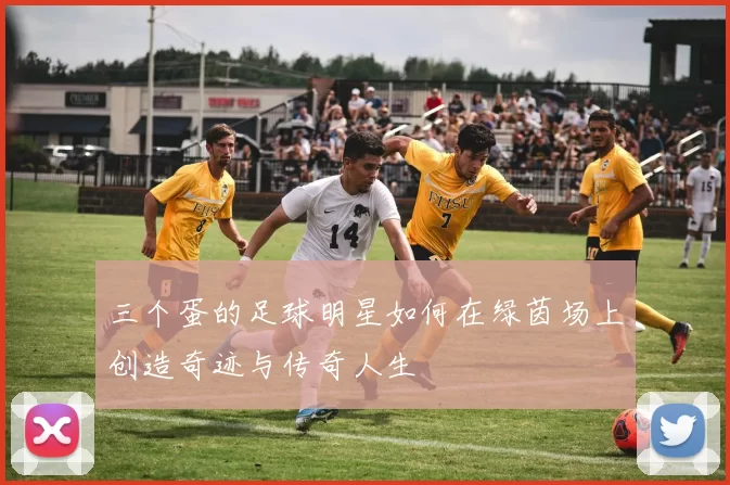 三个蛋的足球明星如何在绿茵场上创造奇迹与传奇人生