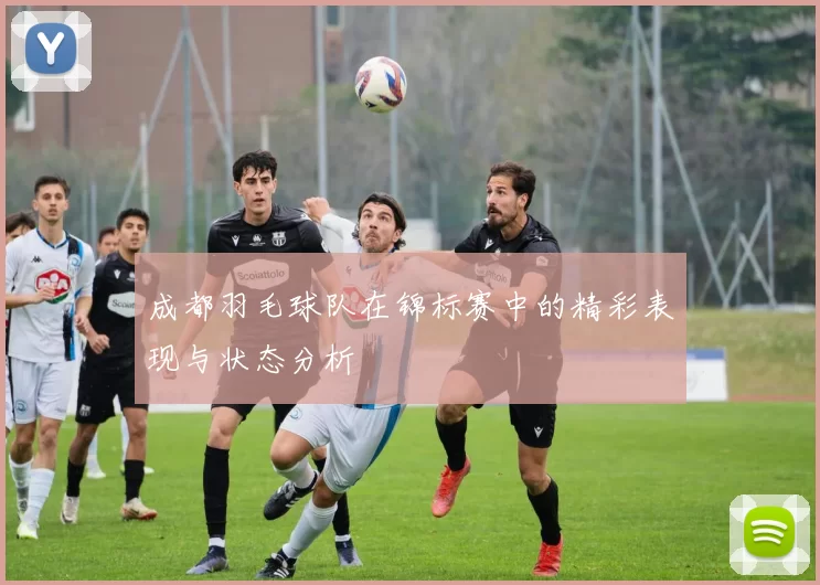 成都羽毛球队在锦标赛中的精彩表现与状态分析
