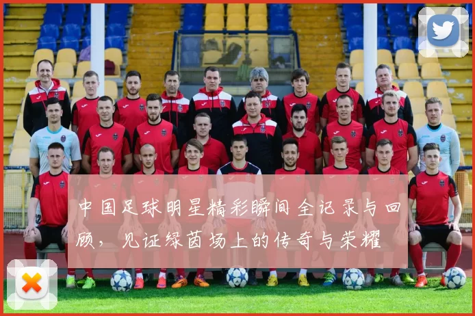 中国足球明星精彩瞬间全记录与回顾，见证绿茵场上的传奇与荣耀