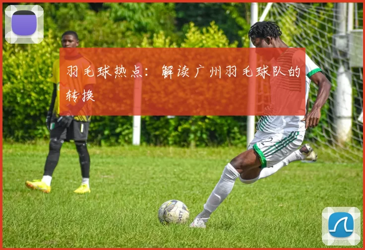 羽毛球热点：解读广州羽毛球队的转换