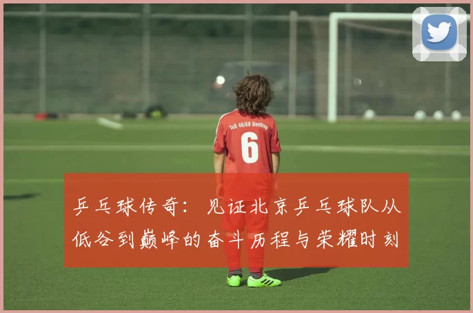 乒乓球传奇：见证北京乒乓球队从低谷到巅峰的奋斗历程与荣耀时刻