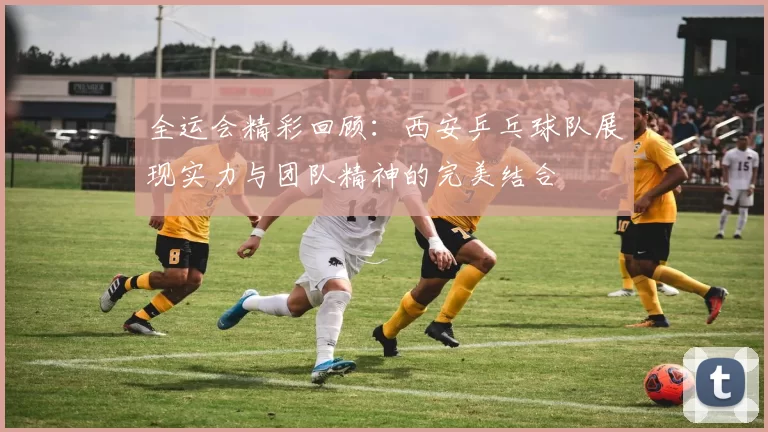 全运会精彩回顾：西安乒乓球队展现实力与团队精神的完美结合