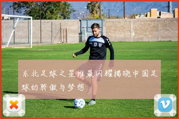 东北足球之星谁最闪耀揭晓中国足球的骄傲与梦想